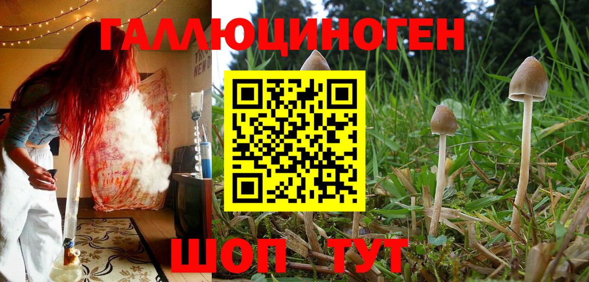 Псилоцибиновые грибы прущие грибы  Вход с VPN  Азнакаево 